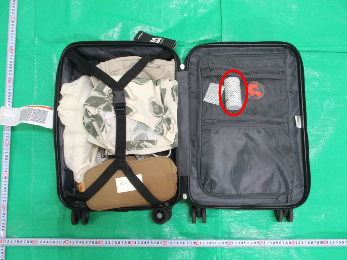 カスタム君 tweet media