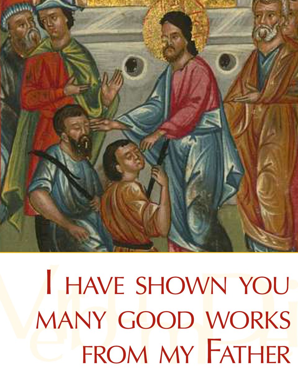 Vatican News tweet media