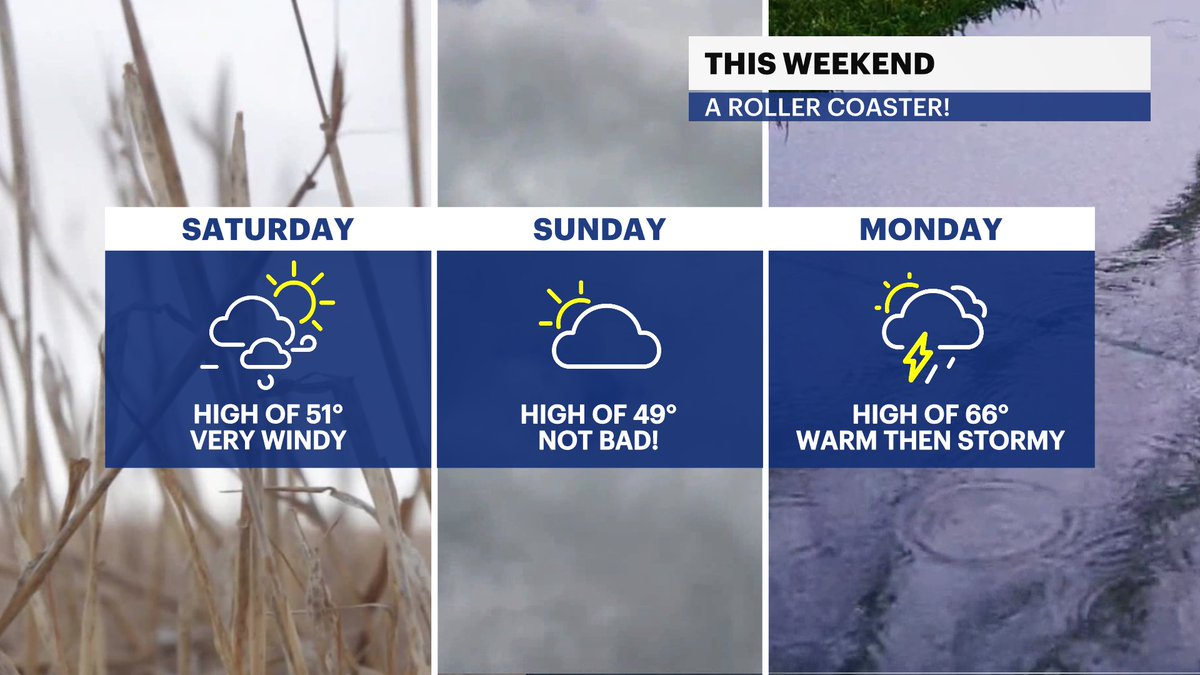 Mike Rizzo tweet media