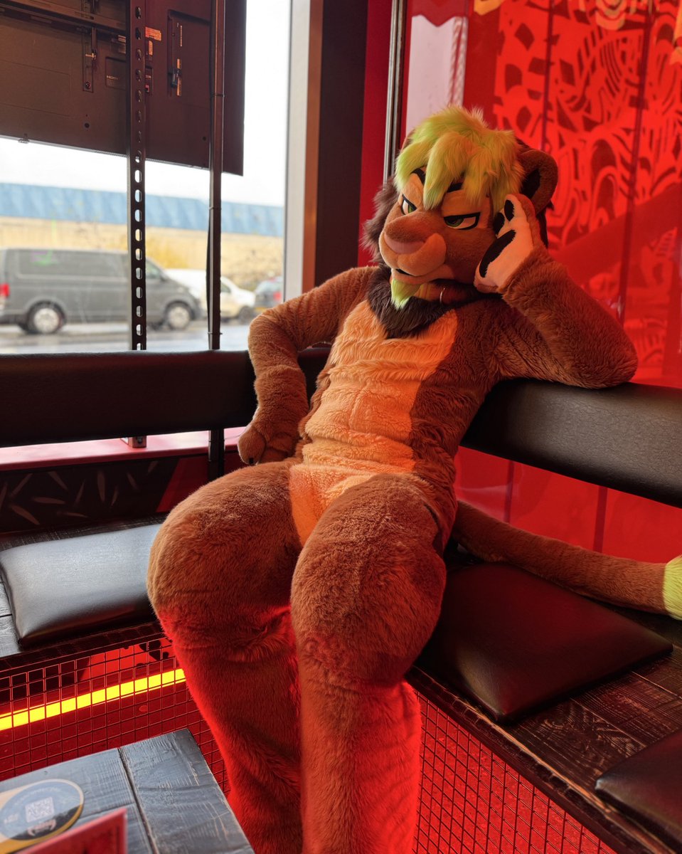 Skunkpaw 🦨 🖤🩶🤍💜 🦨 tweet media