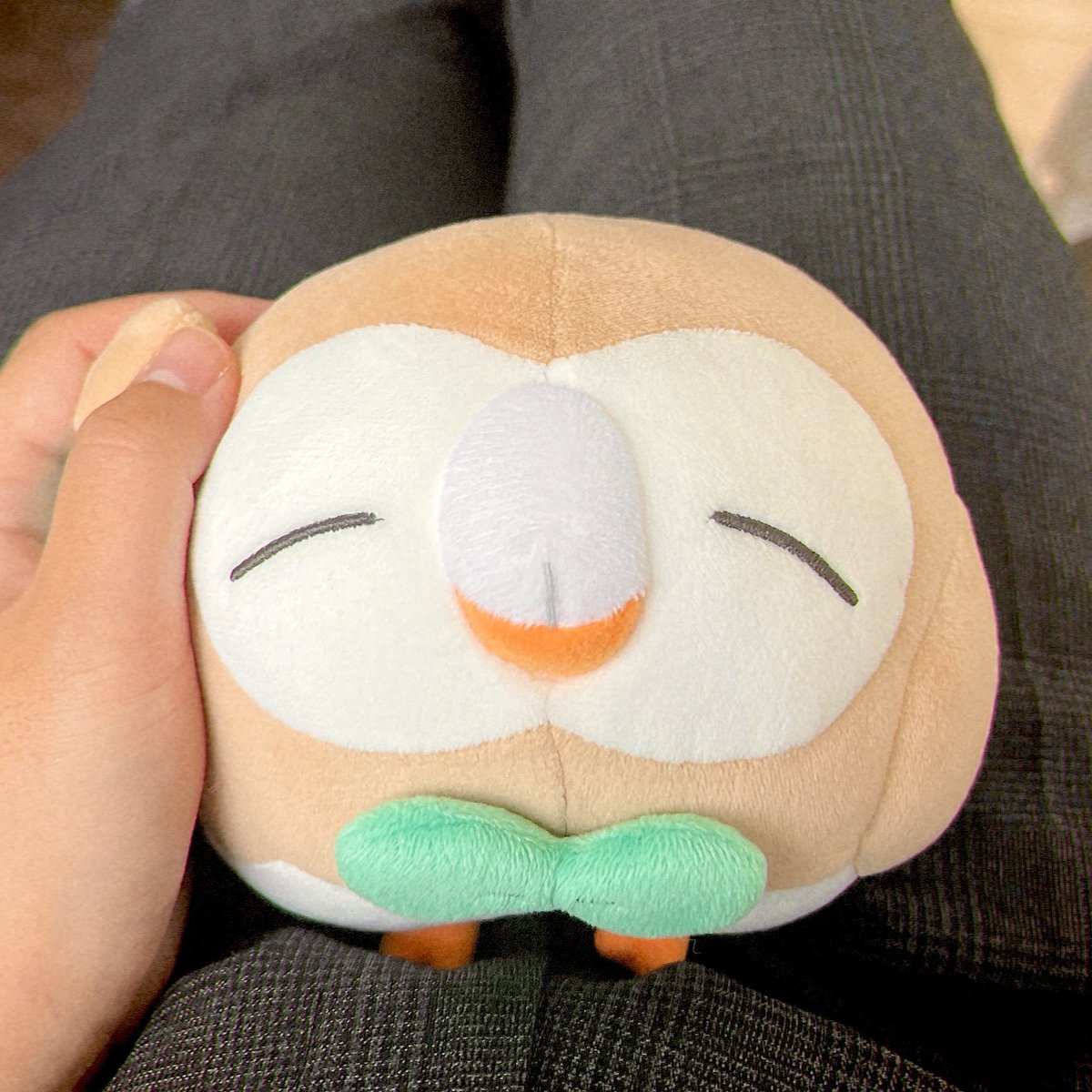 もくろトレーナー tweet media