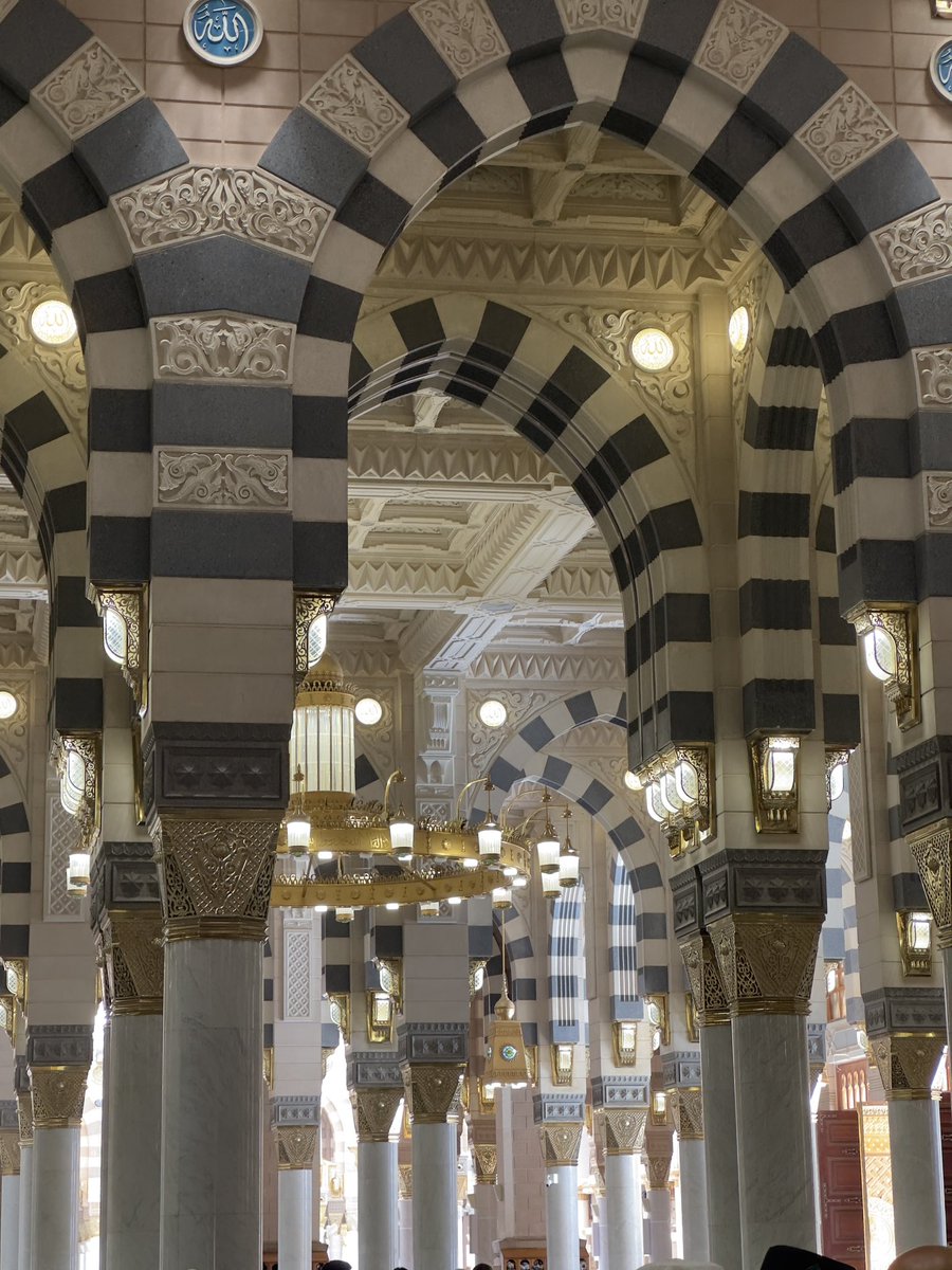 𝙳𝙰𝙷𝙾𝙼 tweet media