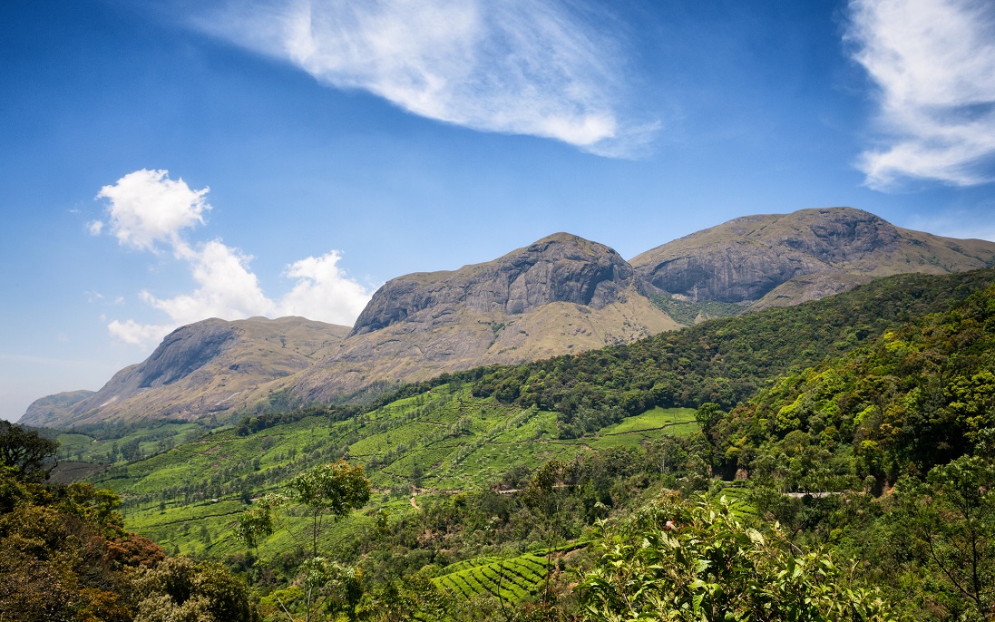 Down To Earth tweet media