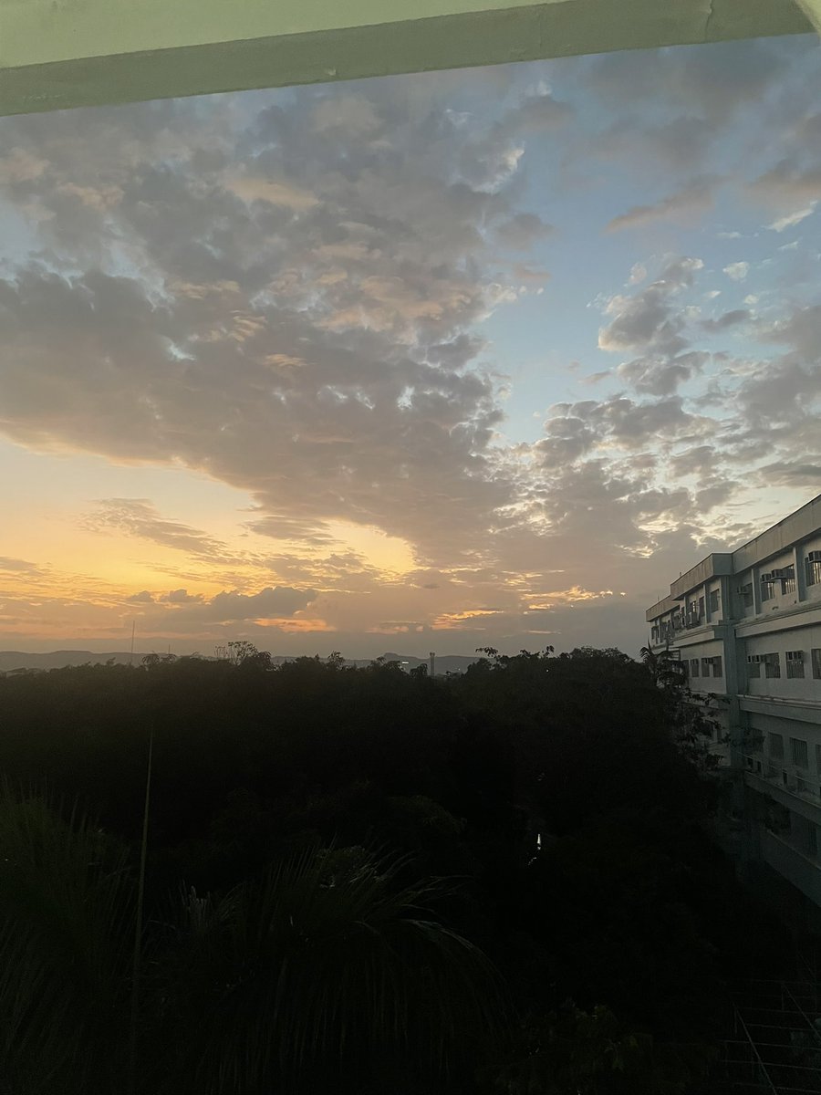 md cutie tweet media