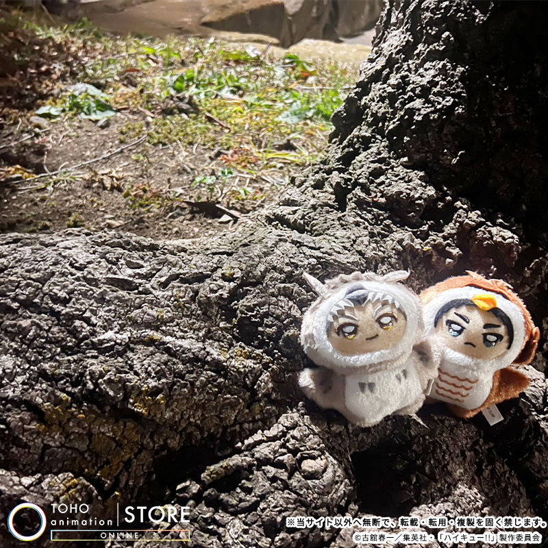 TOHO animation STORE ONLINE tweet media