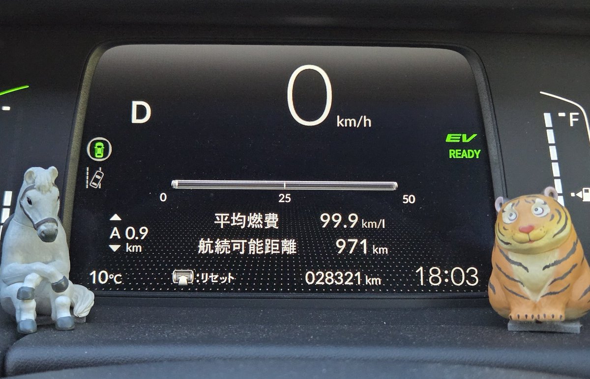 しま🐴🌠旅 tweet media