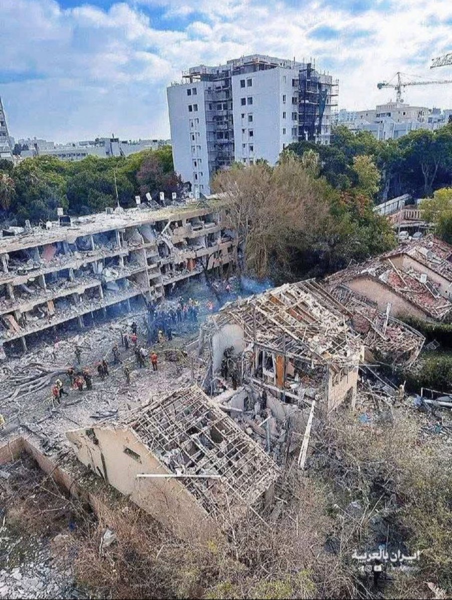 Barbod باربد رضایی tweet media