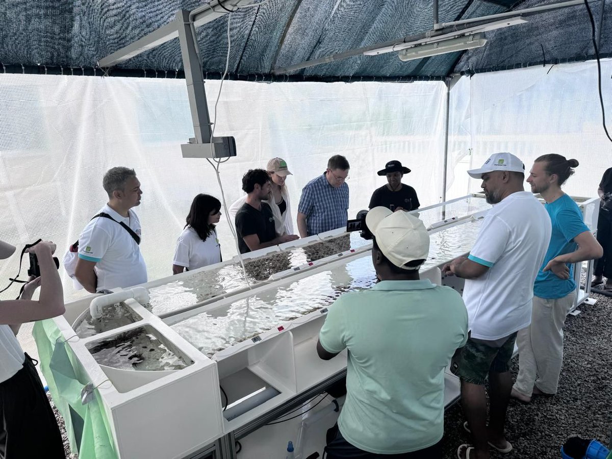 UNDP Seychelles tweet media