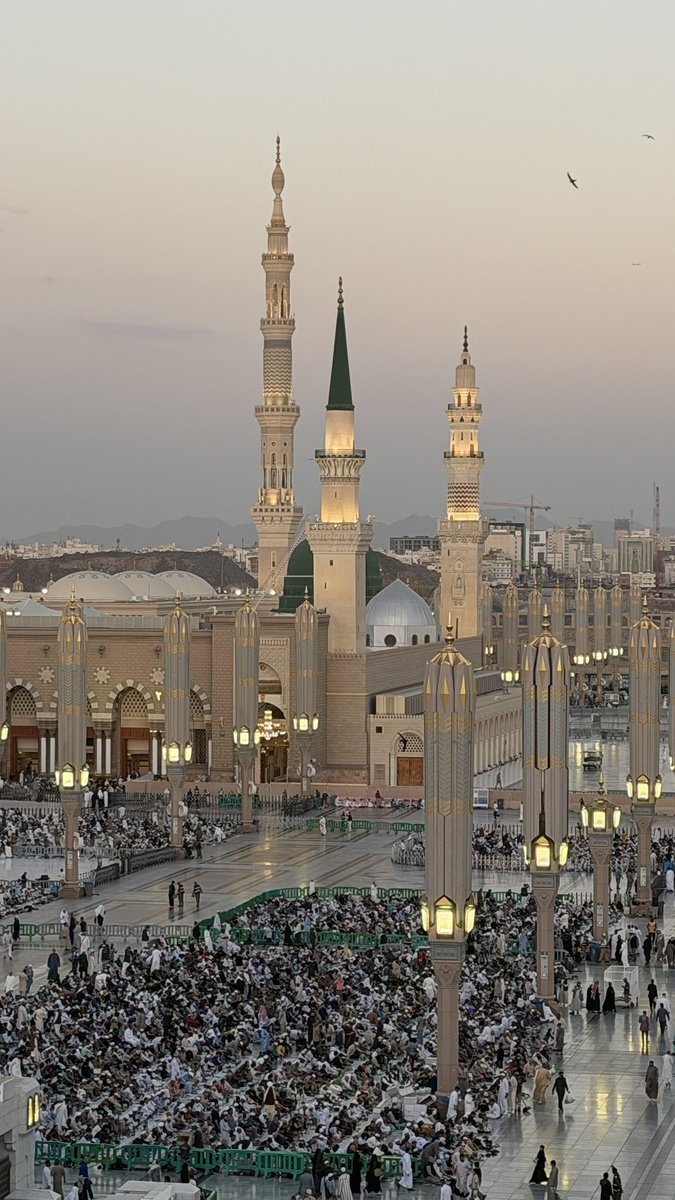 فارس التركي tweet media