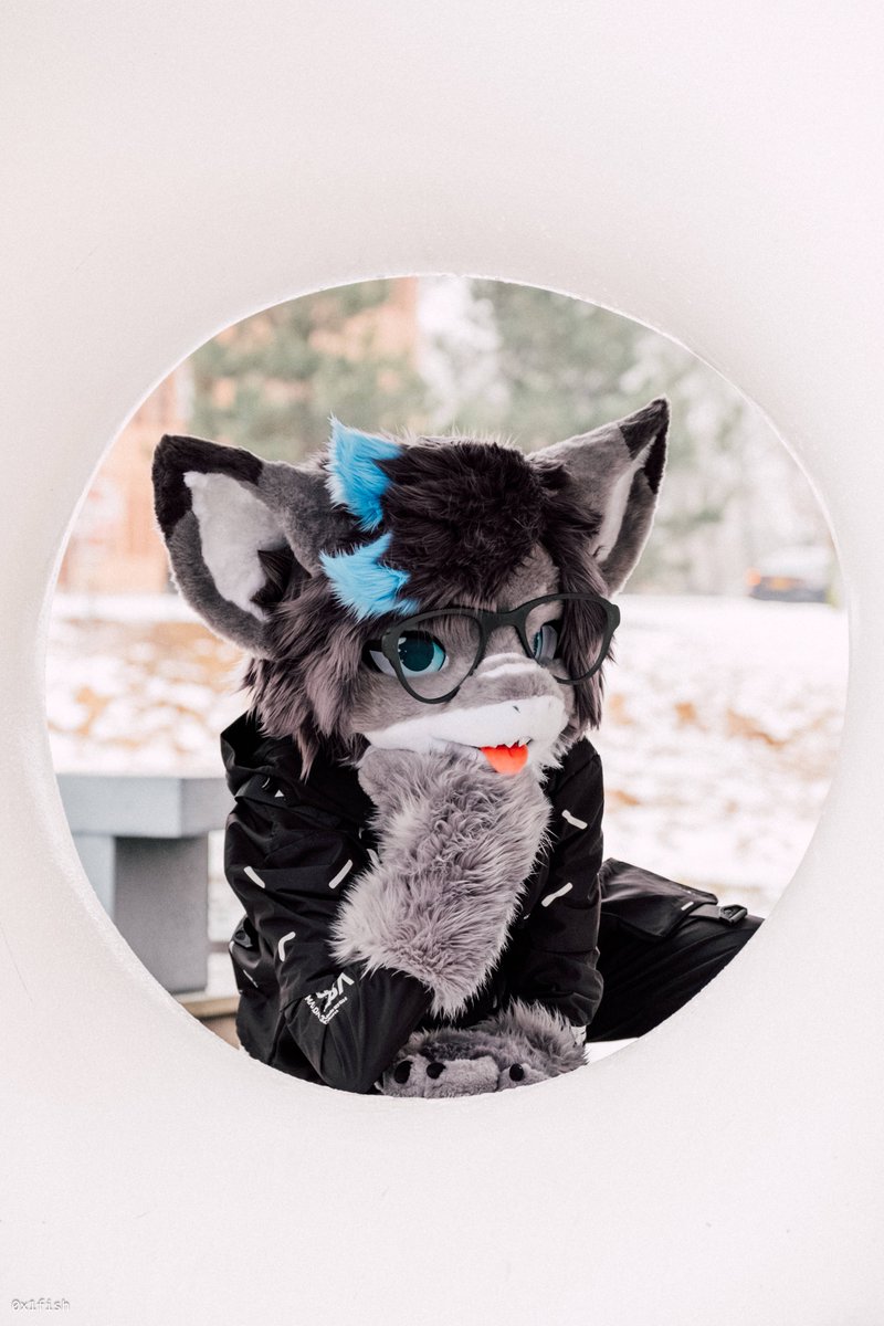 Misha 🔜 FWA tweet media