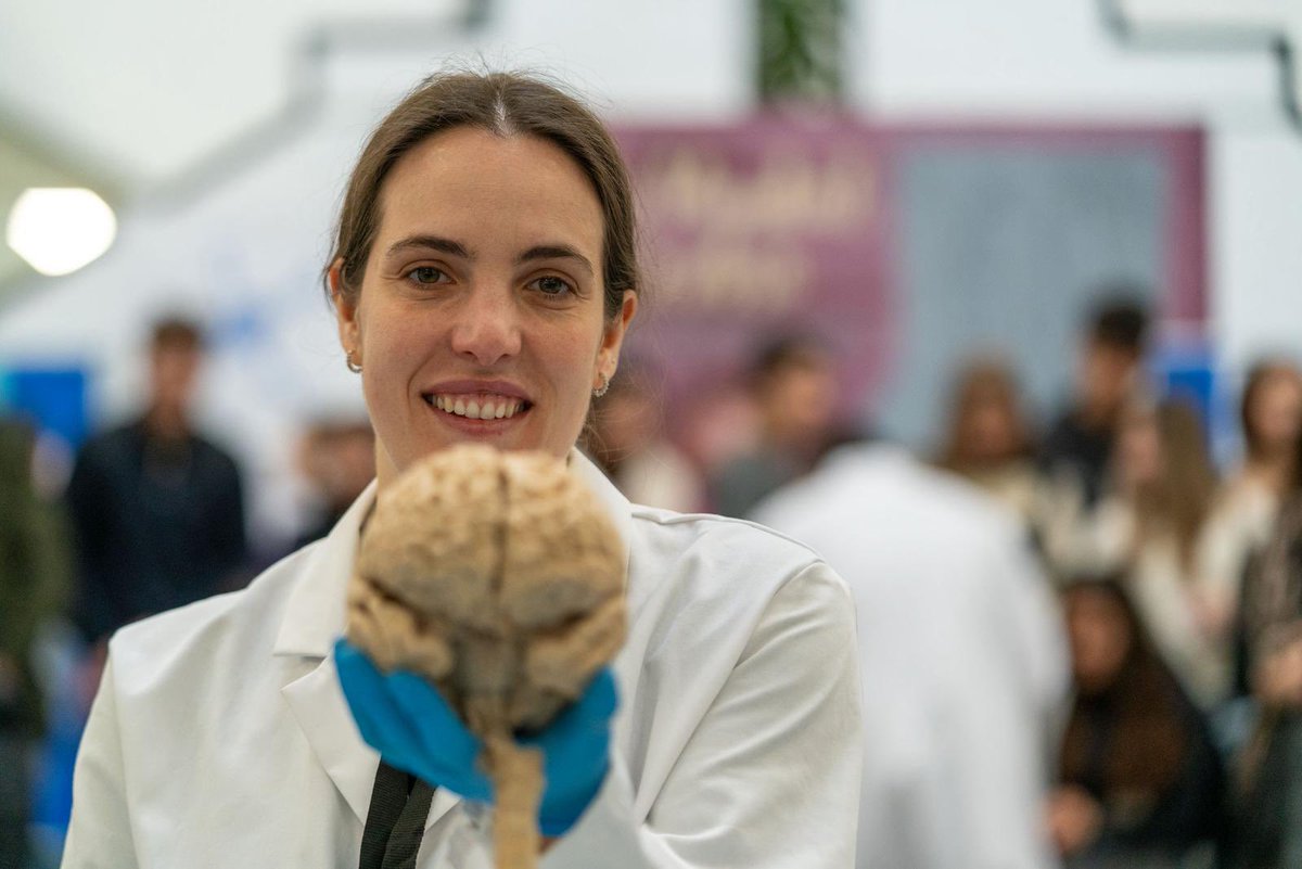 Instituto de Neurociencias UMH-CSIC tweet media