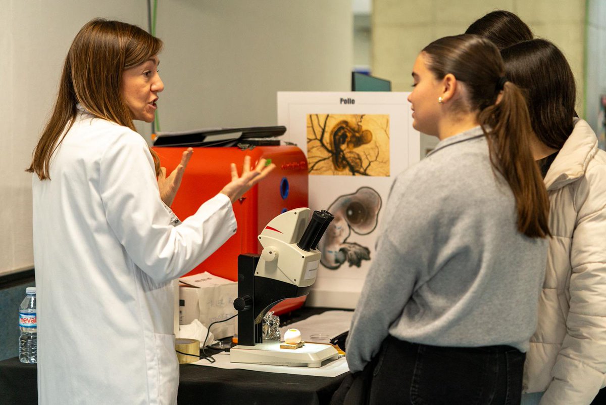Instituto de Neurociencias UMH-CSIC tweet media