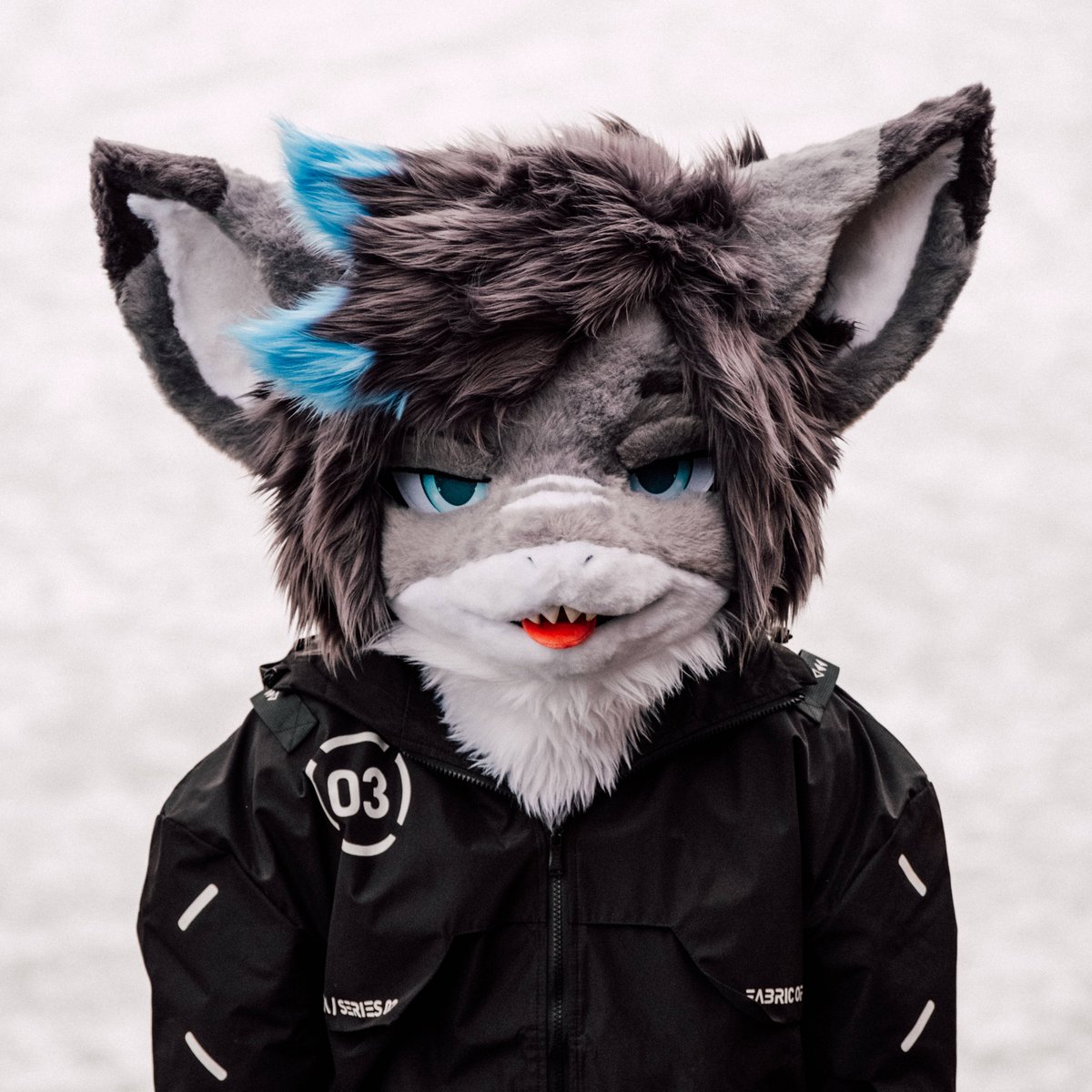 Misha 🔜 FWA tweet media