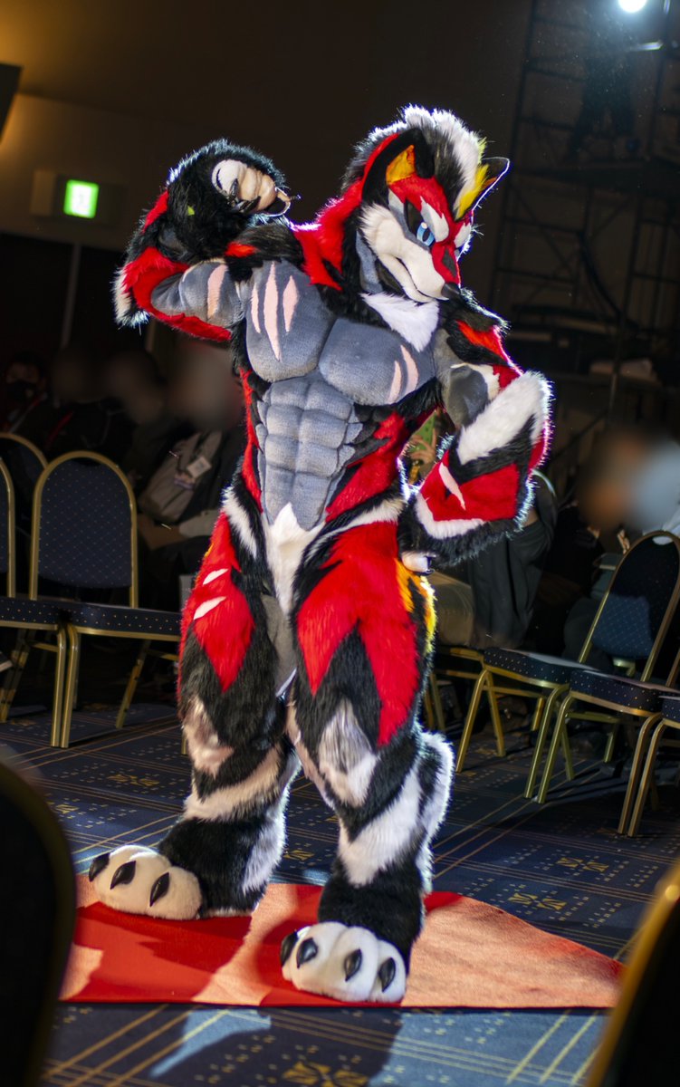 のぎす(Nogisu) ✈️FurstClass☕🐕 tweet media