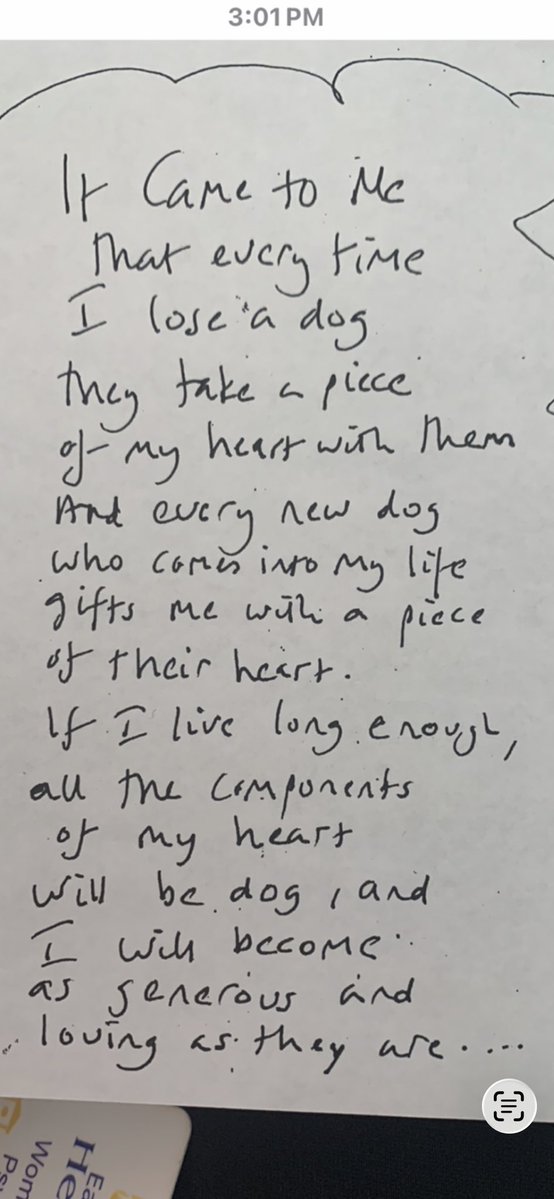 Sandy Gamba tweet media