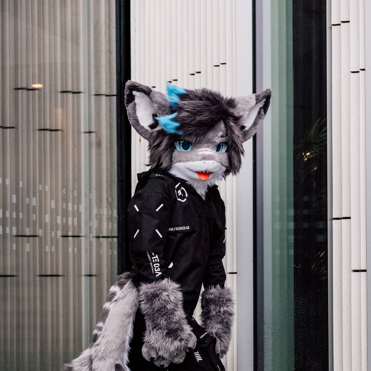 Misha 🔜 FWA tweet media