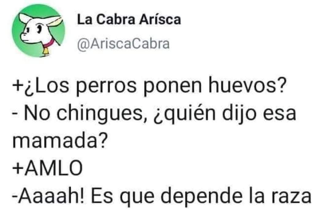 Wera Regia ✨🪽😎 tweet media