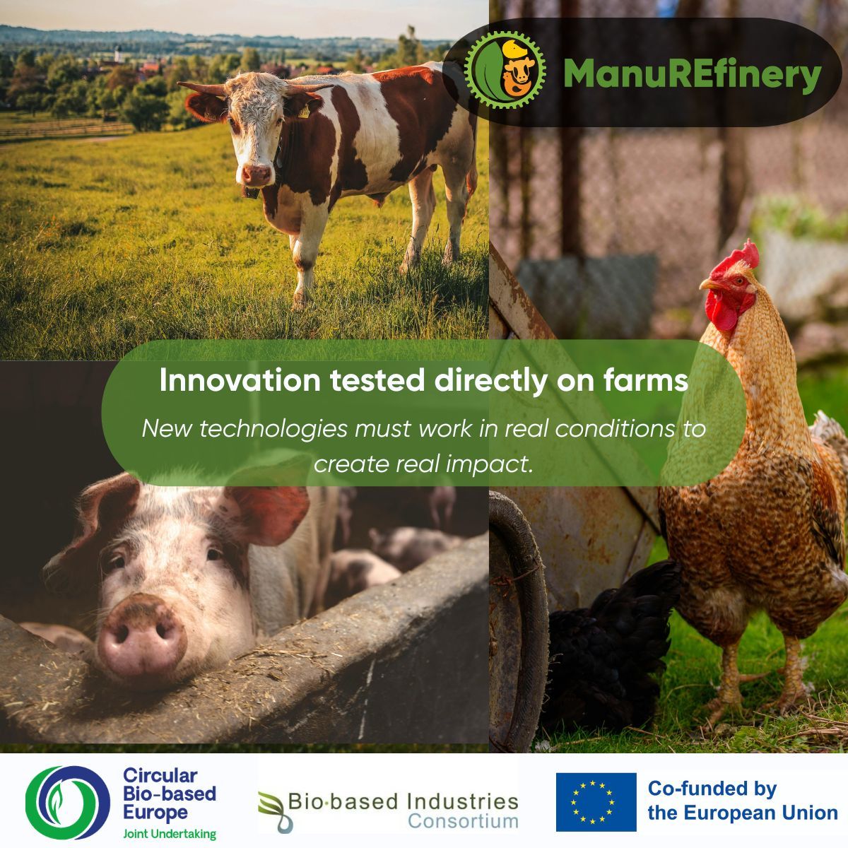 ManuREfinery tweet media