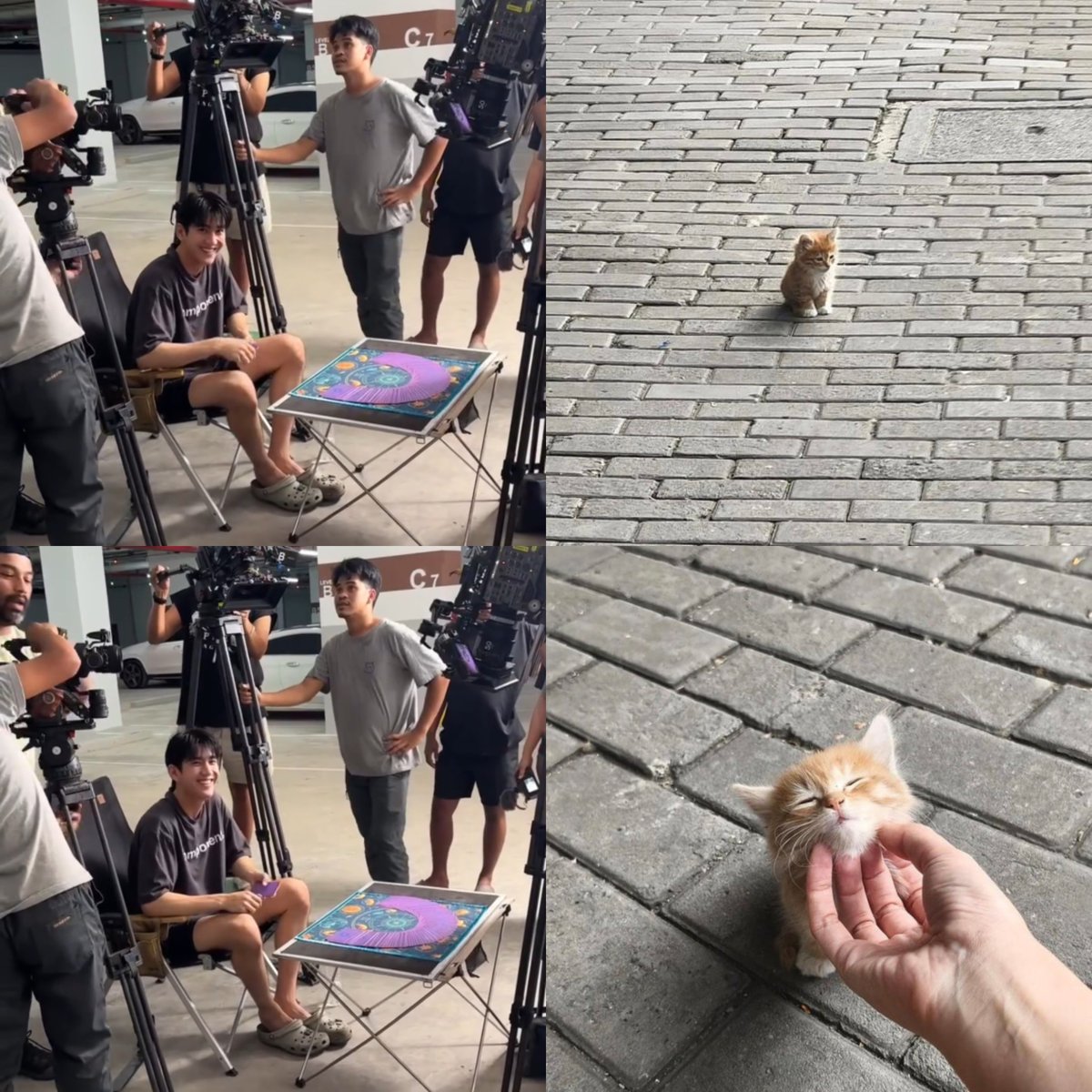 สะมอ•ᴗ•🌷 tweet media