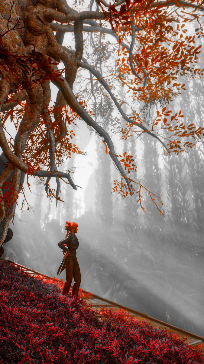 Greenie🥕 tweet media