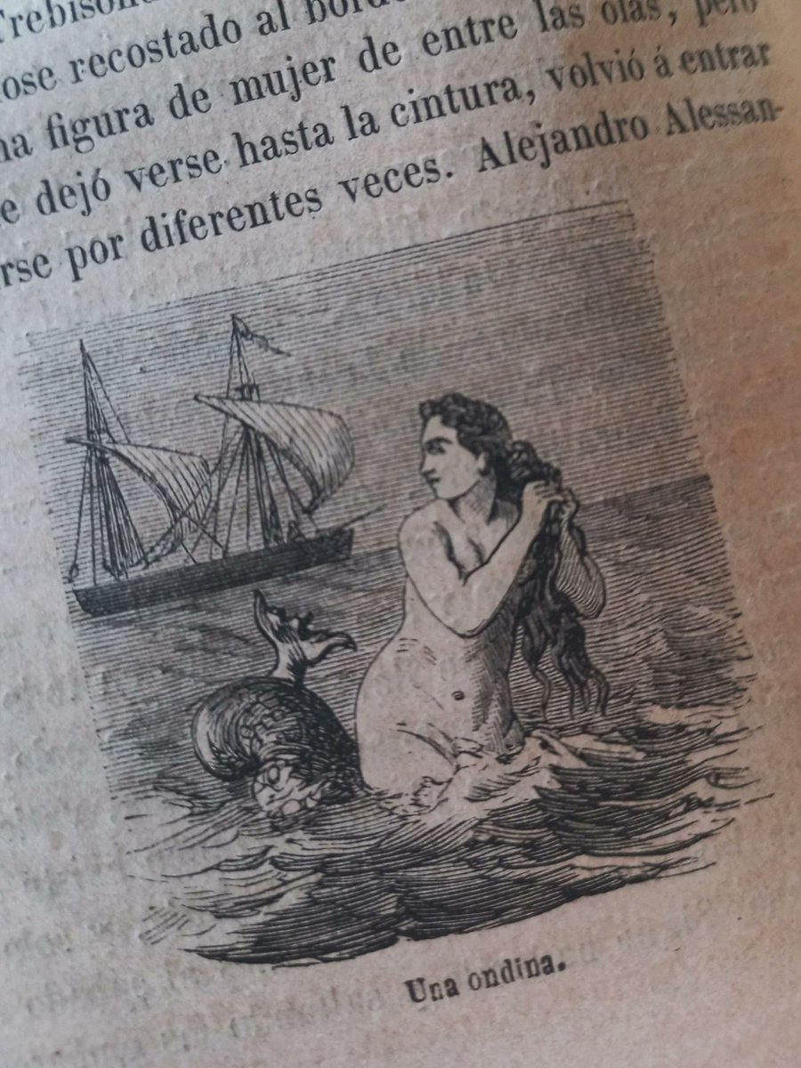 Javier Prado Coronel tweet media