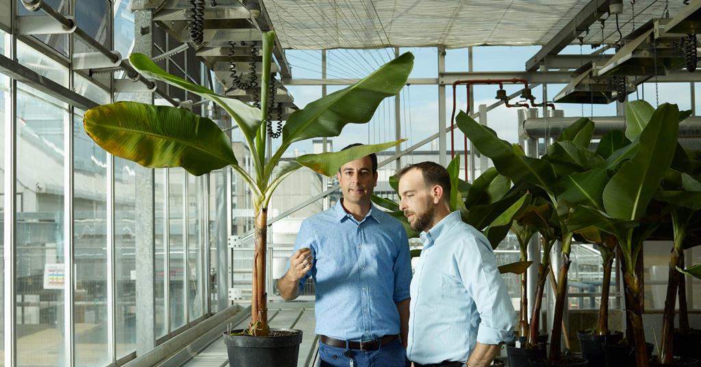 Produce Plus tweet media