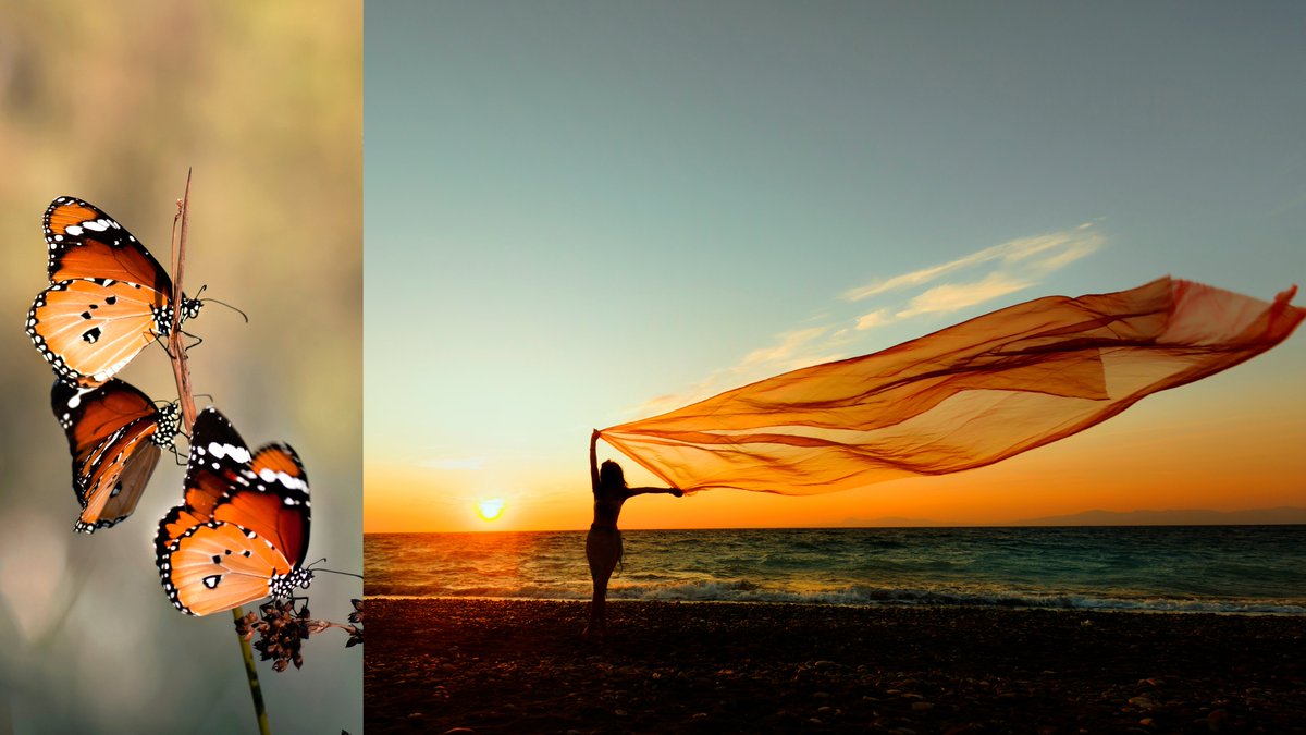 Apollo13 tweet media