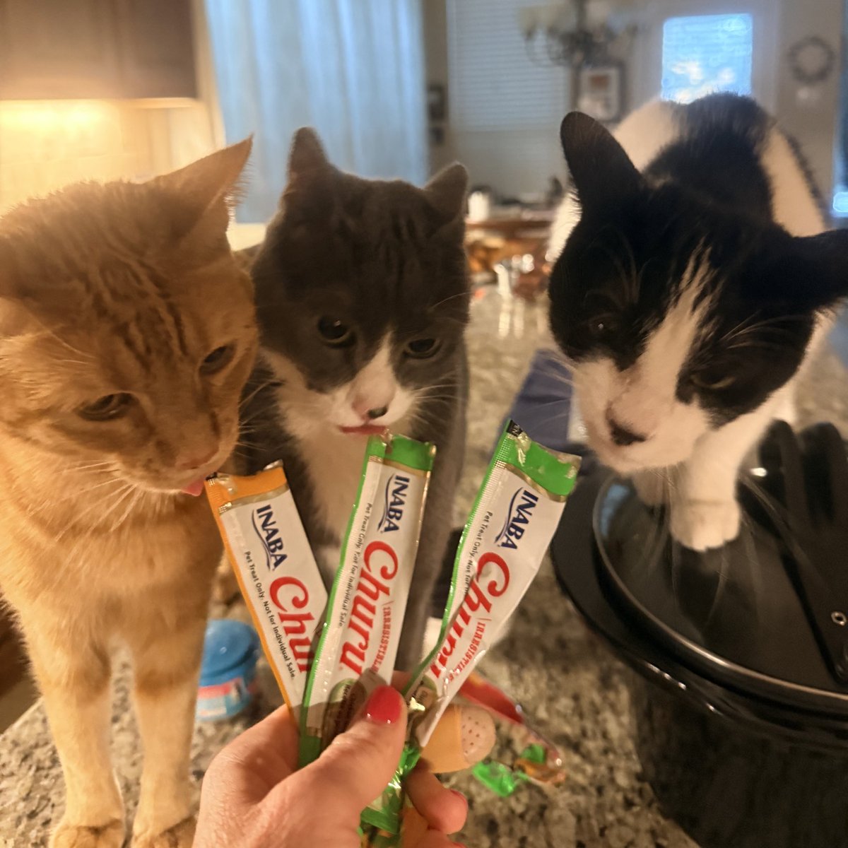 hi I’m Hank tweet media