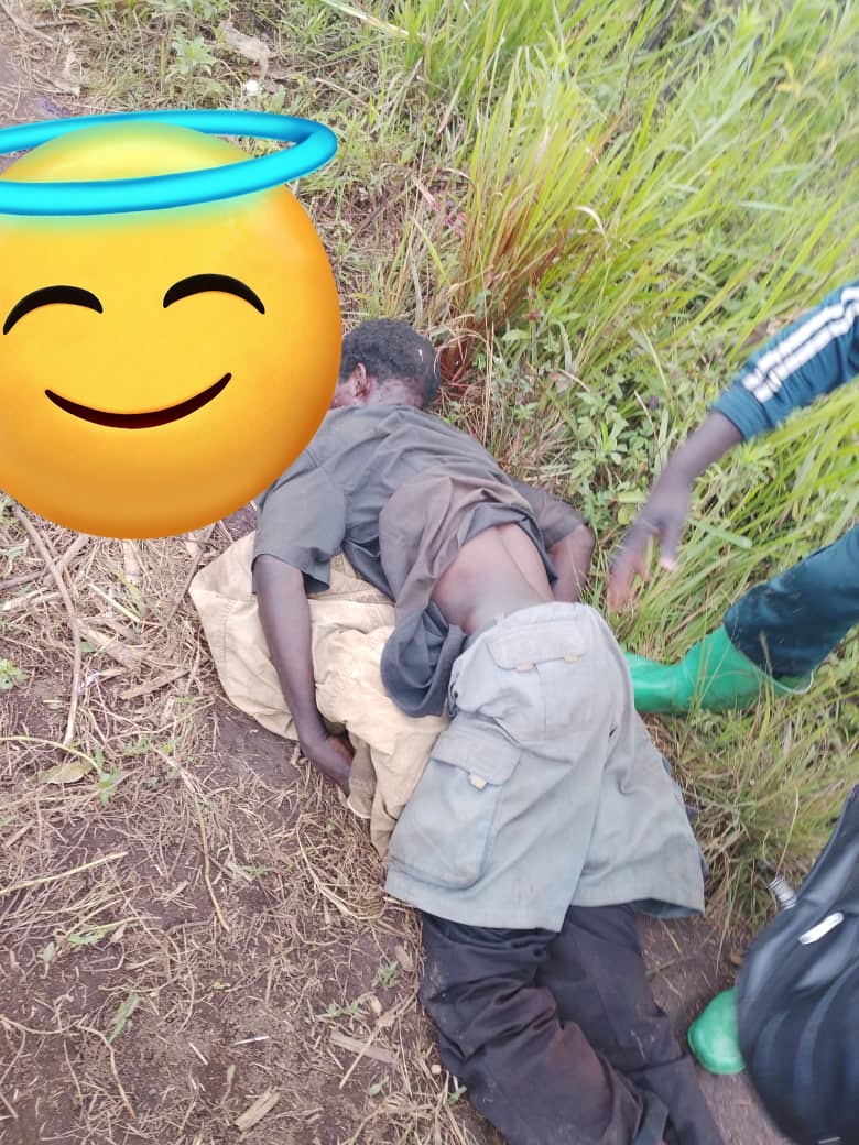 FilsDeBoncoeur's tweet photo. In the morning of Wednesday, March 11, 2026, the Genocidal coalition of @FARDC_officiel + #CODECO has just killed several Hema in their fields #Ddada North Bahema territory , Ituri.
6 bodies found 3 women and 3 men.
The research underway.
@ONUFemmes
#Tshisekedi continues to kill Congolese in every corner.