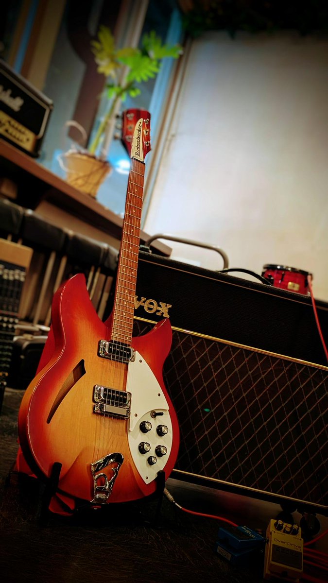 studioPACKS 船橋店 tweet media