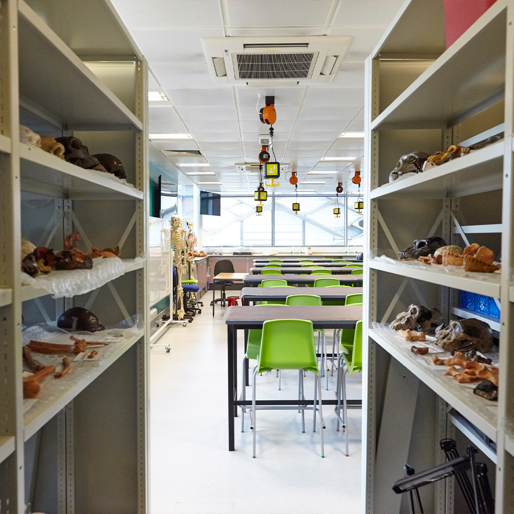 Rackline tweet media