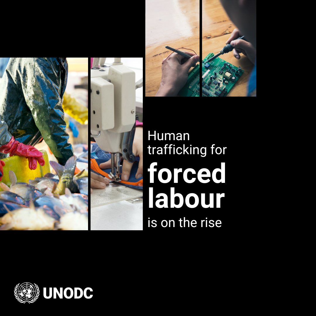 UN Trust Fund for Victims of Human Trafficking tweet media