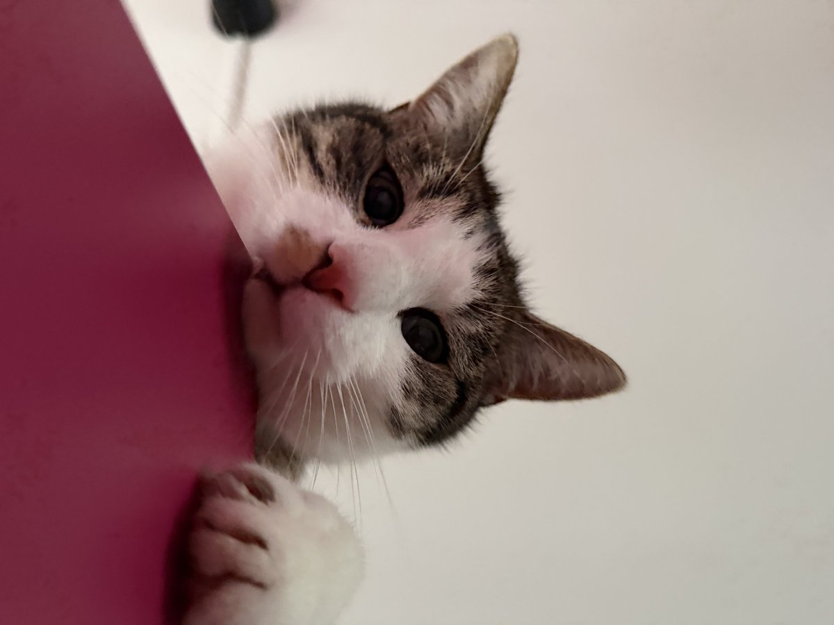 Josan✨ tweet media