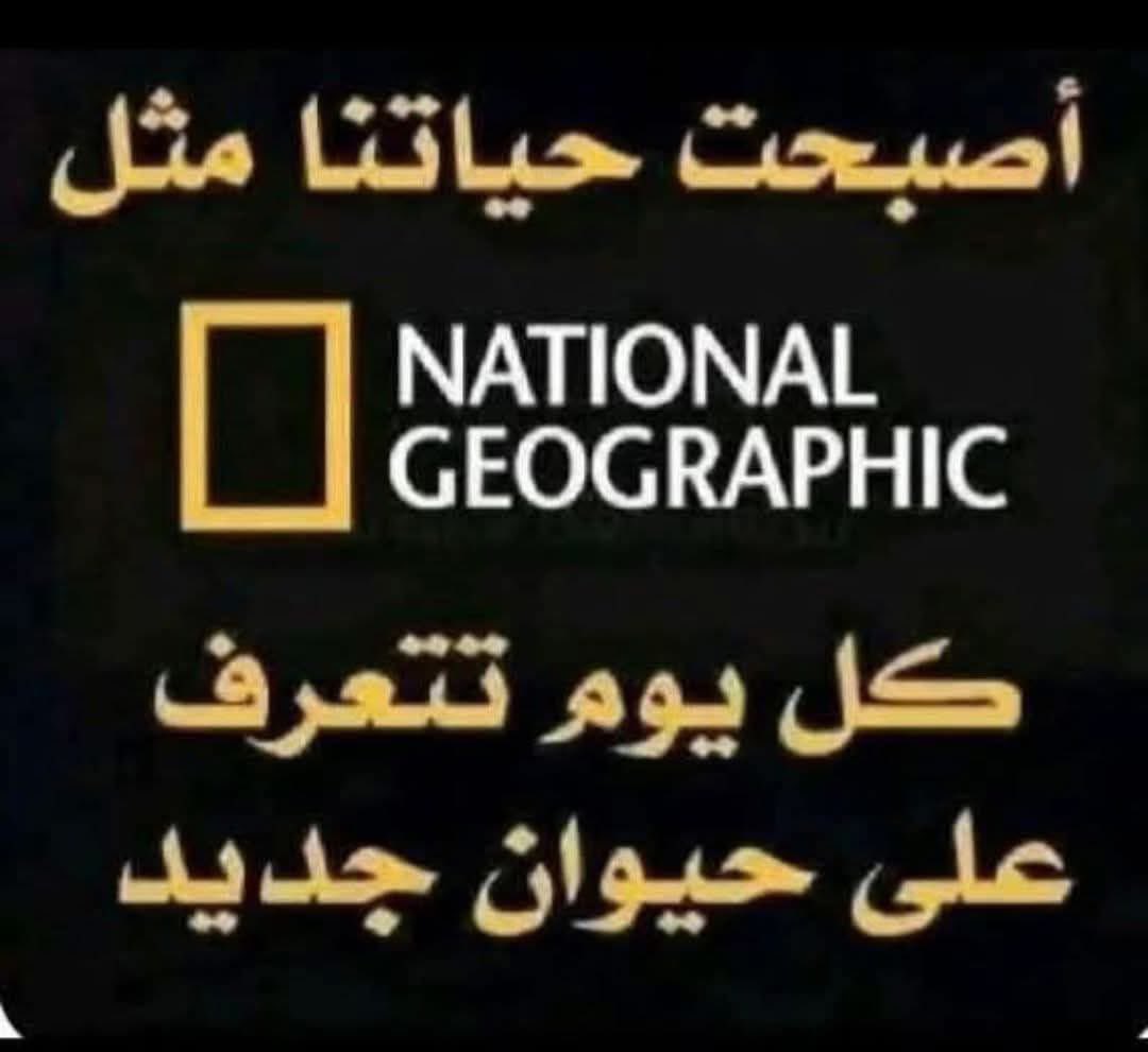 𝒜ℒ𝒴 (Али)💛🌻💛السئيل (Саэль)☺️ tweet media