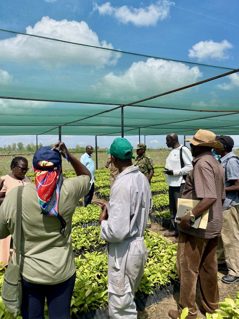 Operation Wealth Creation tweet media