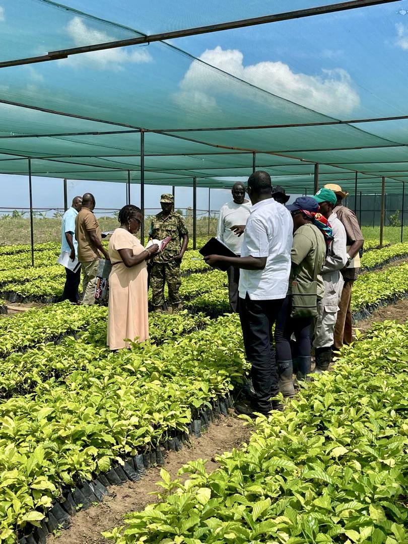 Operation Wealth Creation tweet media