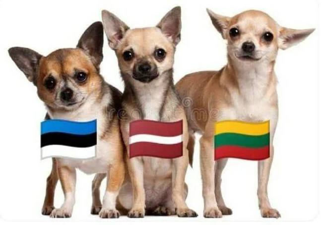 Political Course tweet media