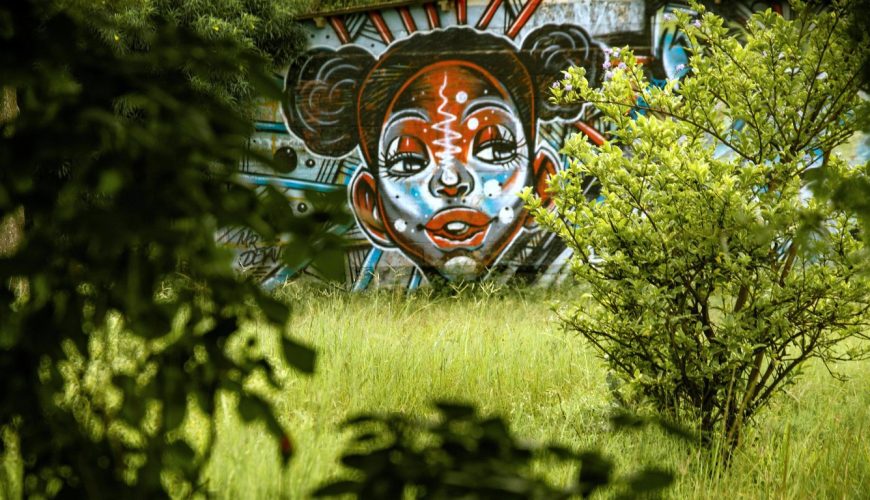 Discover unique weekend ideas in Nairobi, including blissful cinema experiences and captivating illusions. Create unforgettable memories!
kenyageographic.com/unique-weekend…