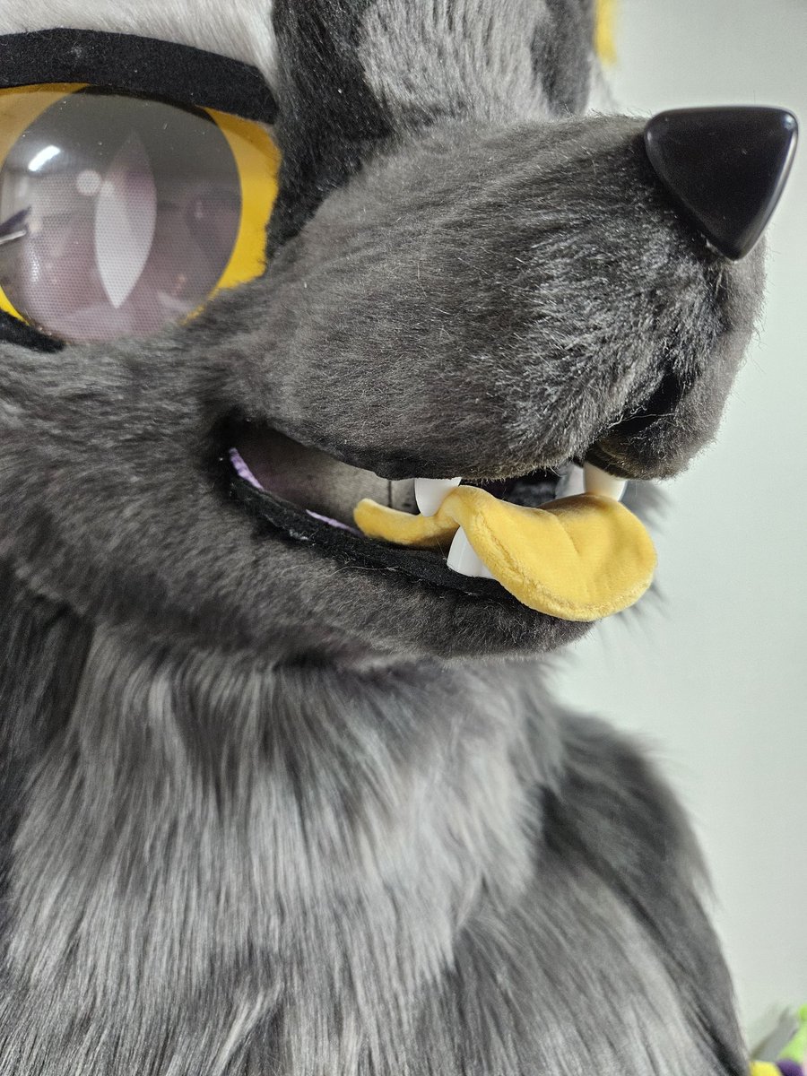 💜Purple Bat Fursuit💜 tweet media