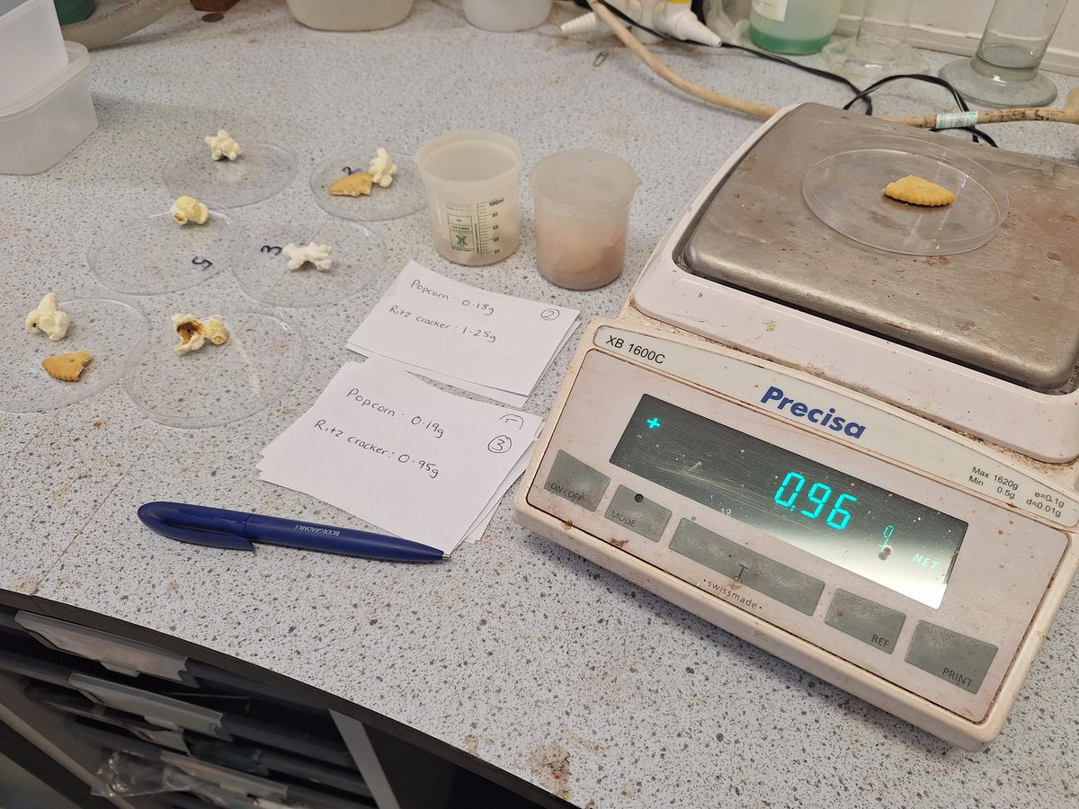 Becky RSciTech tweet media