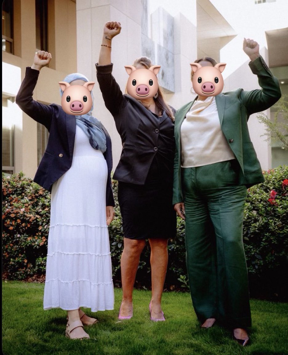 🇦🇺 DILLIGAF 🇦🇺 ONE FLAG 🇦🇺 tweet media