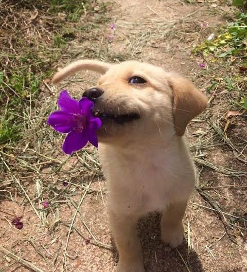 Those 7 people who like all my tweets 🫶🏻