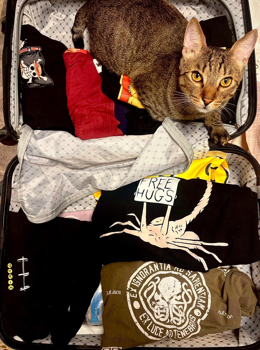 Joan Segovia tweet media