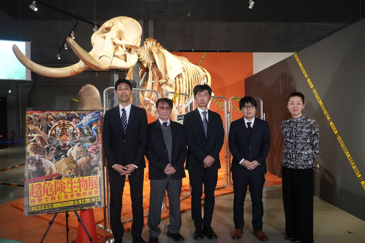 museum_kahaku's tweet photo. ＼\🦒#超危険生物展 いよいよ明日開幕🐘/／

「超危険生物展　科学で挑む生き物の本気」の報道内覧会と開会式を実施しました！

会場に本展監修の研究者が集結し、展示の見どころをお話しいたしました🥳✨
大迫力のアフリカゾウの前には、展覧会アンバサダーの川島明さんの姿も！

開幕をお楽しみに♪ https://t.co/ReSMk8u4Ir