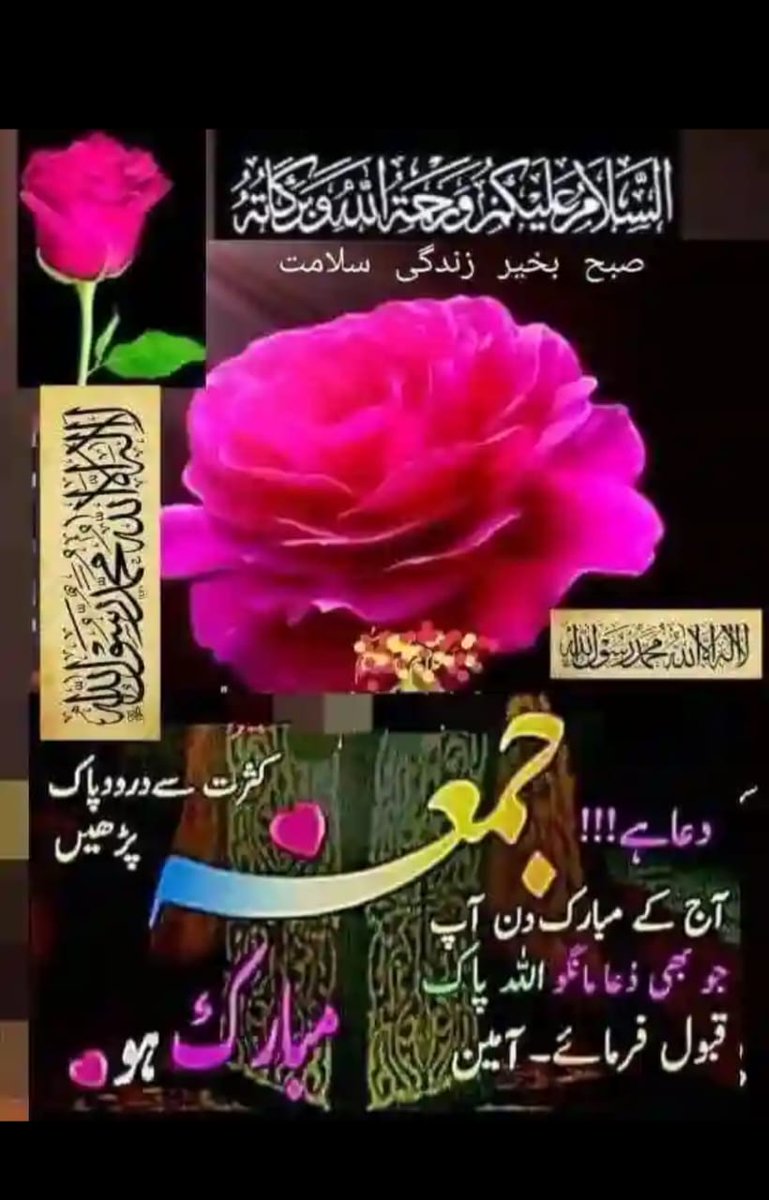 ◣𝑹𝒂𝒔𝒉𝒊𝒅 𝑺𝒂𝒕𝒕𝒊◥ tweet media