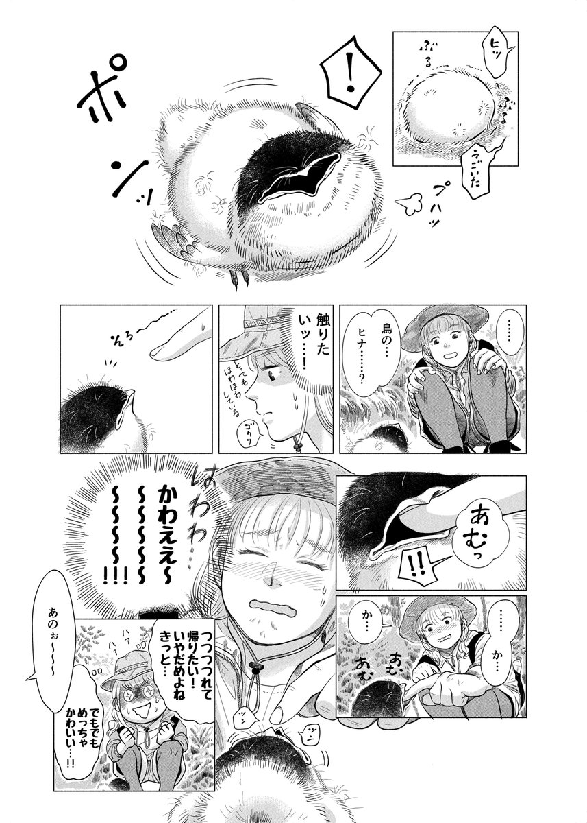 淀洞蝸牛 tweet media