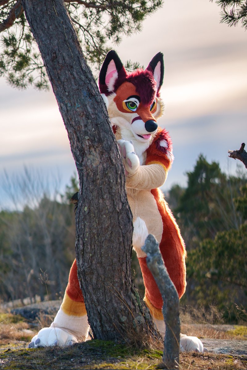 Nightless tweet media