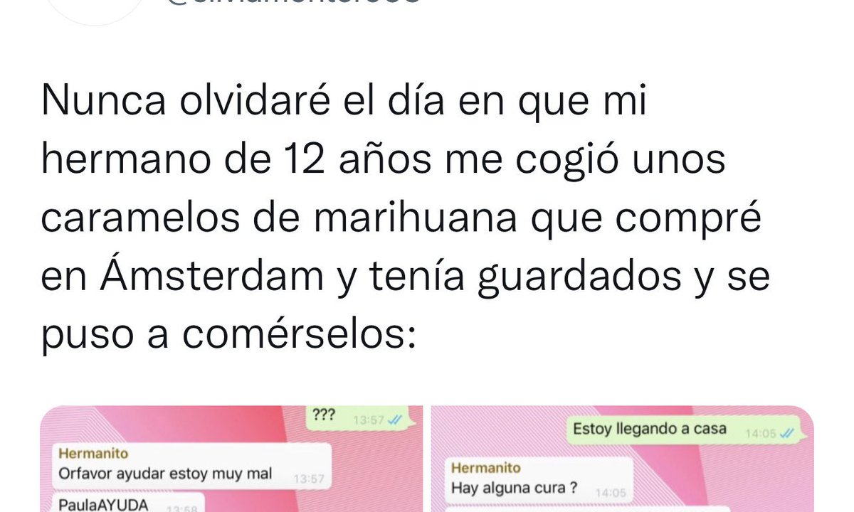 ceciarmy tweet media