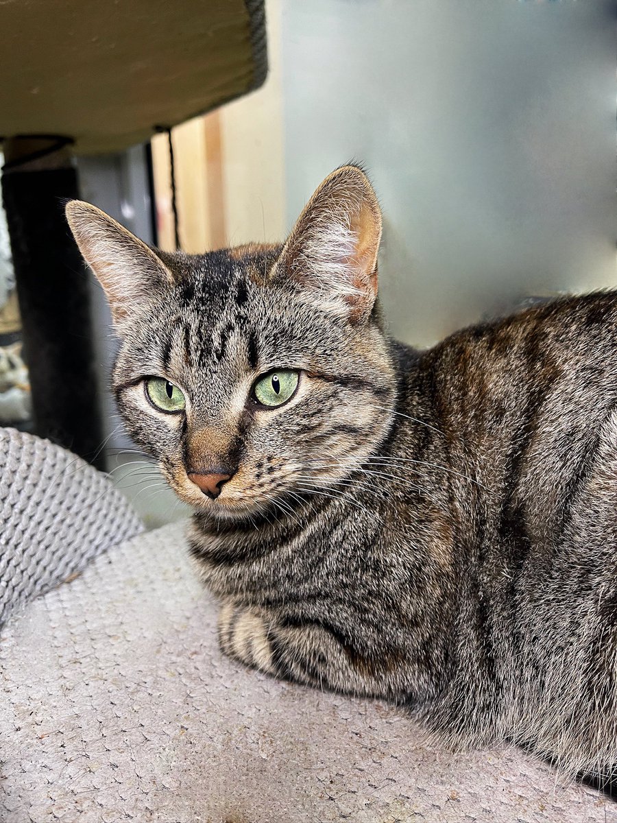 Cats on Mars 🇺🇦 tweet media