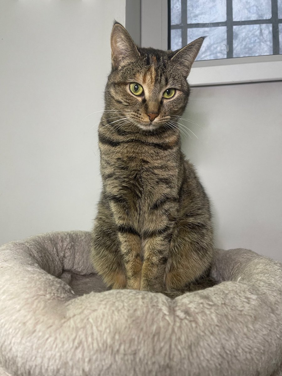 Cats on Mars 🇺🇦 tweet media